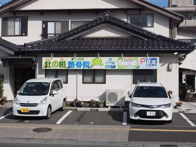 杜の樹整骨院