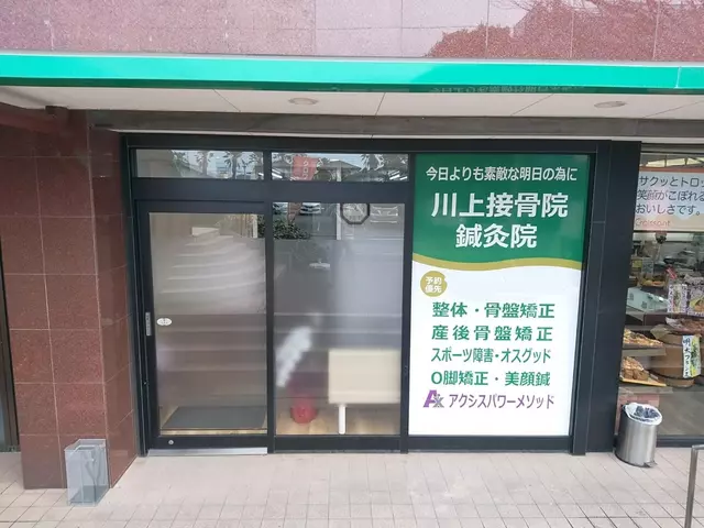 川上接骨院 鍼灸院 整体院