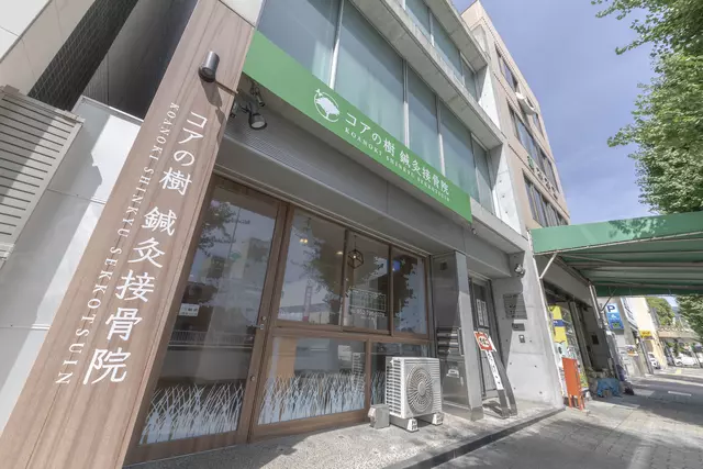 コアの樹鍼灸接骨院