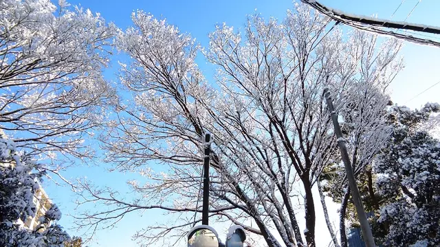 谷村接骨院