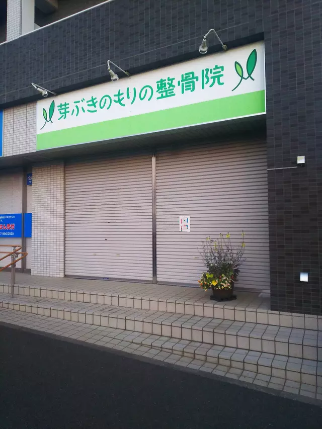 芽ぶきのもりの整骨院