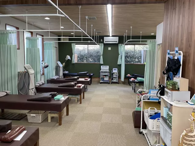 しろいね鍼灸接骨院