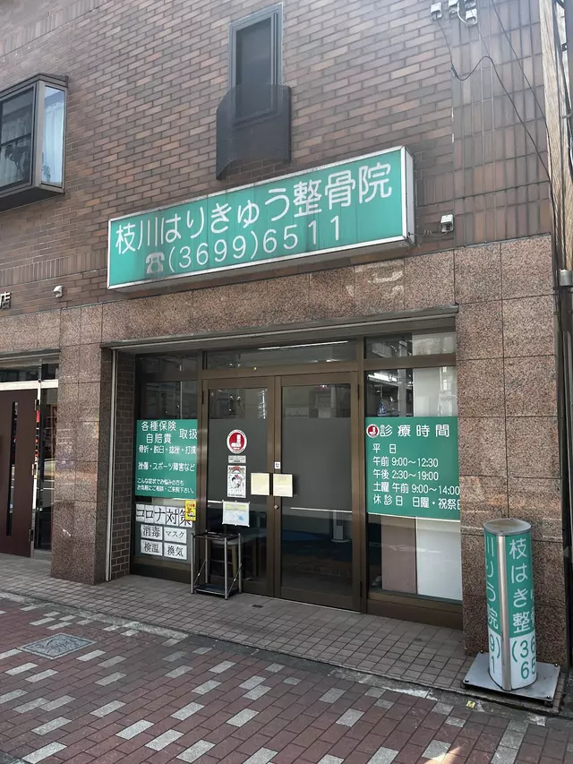枝川鍼灸整骨院