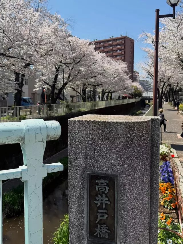 山中接骨院