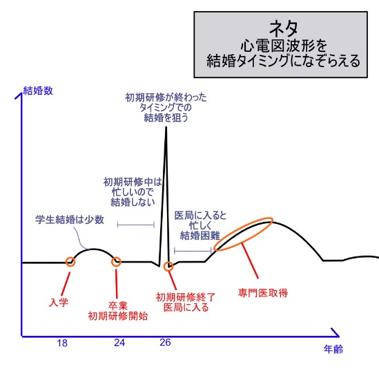 ネタ：心電図波形を結婚のタイミングになぞらえる