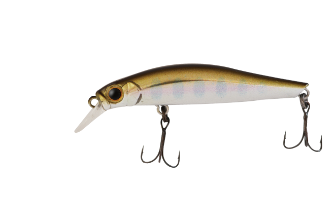 アブ レコード フェイバリット　プランクトン フェイバリット Yahoo!オークション -「favorite」(フィッシング) の落札相場