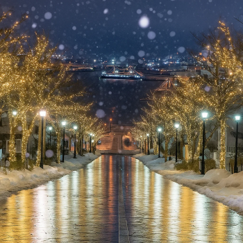Hakodate Illumination