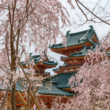 Heian Shrine