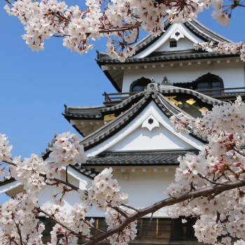 Hikone Castle