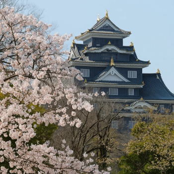Korakuen Garden & Okayama Castle