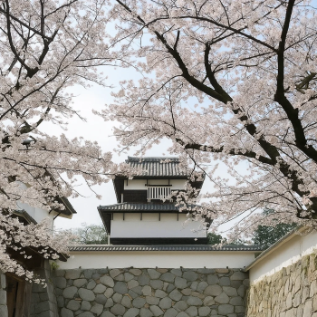 Maizuru Park (Fukuoka Castle)