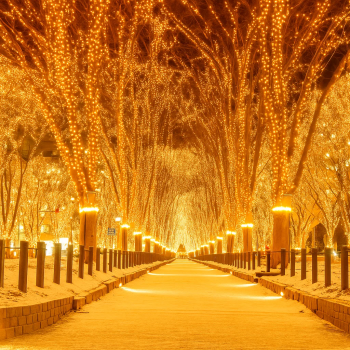 Sendai Pageant of Starlight