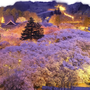 Takato Castle Ruins Park