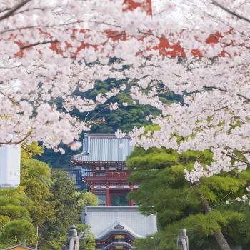 Tsurugaoka Hachimangu Shrine