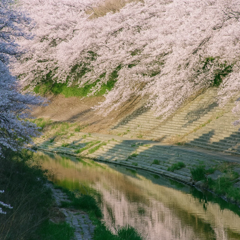 Yamazakigawa Riverside