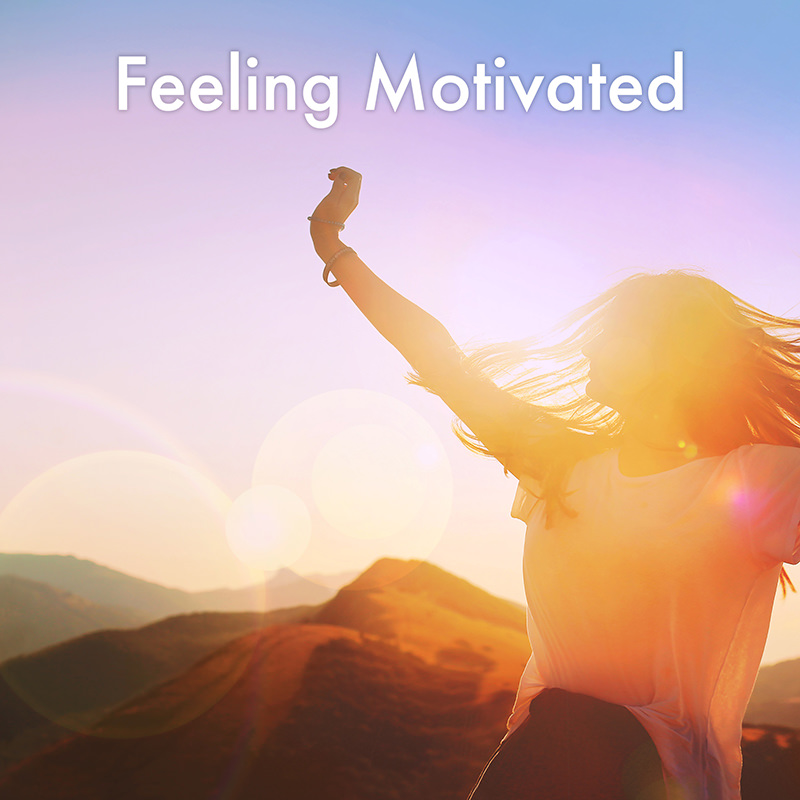 Feeling Motivated