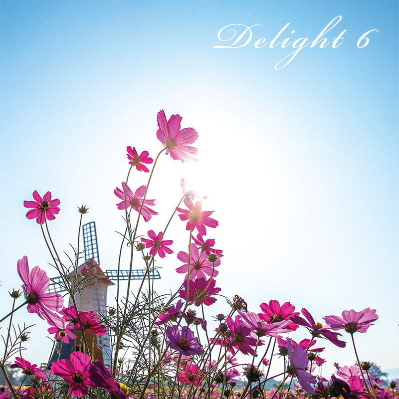 Delight 6