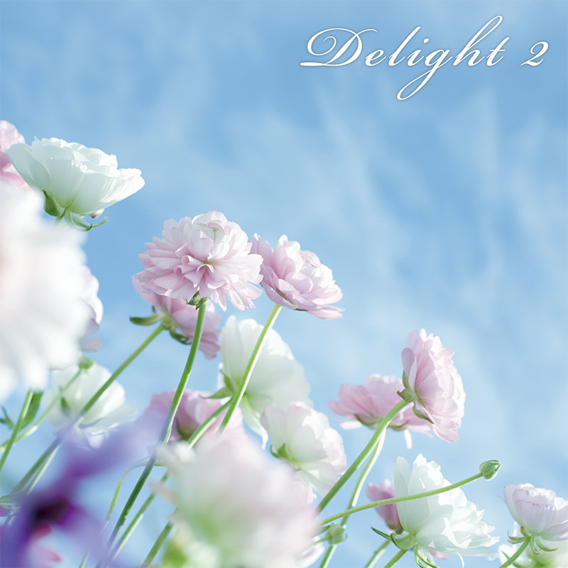 Delight 2