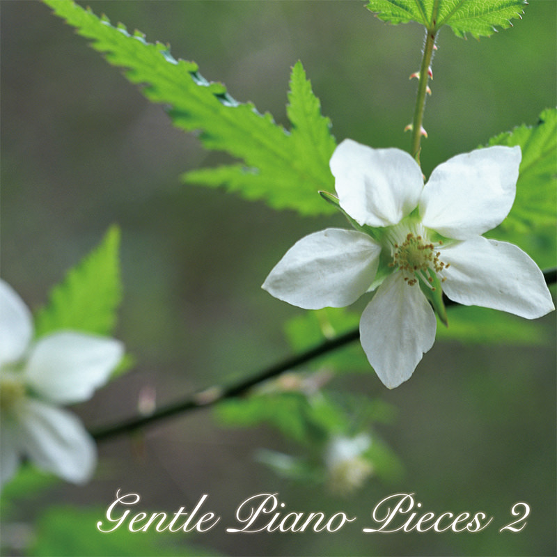 Gentle Piano Pieces 2