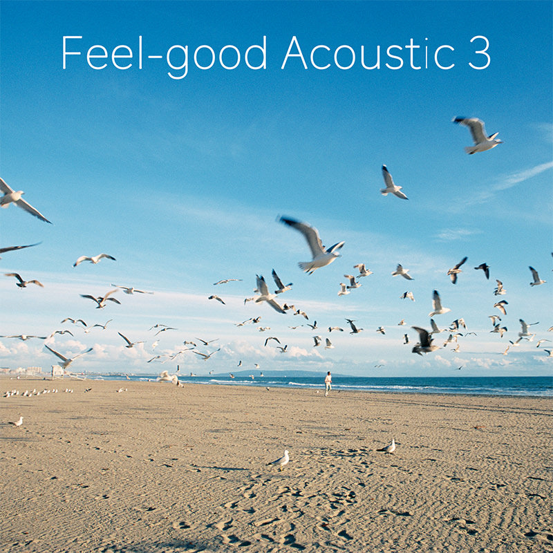Feel-good Acoustic 3