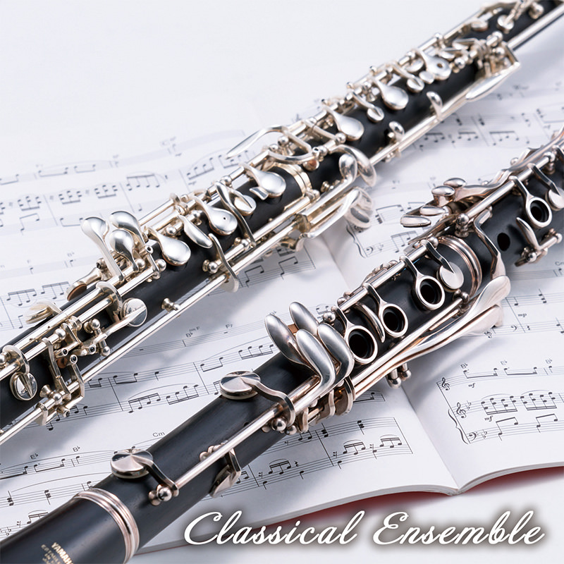Classical Ensemble
