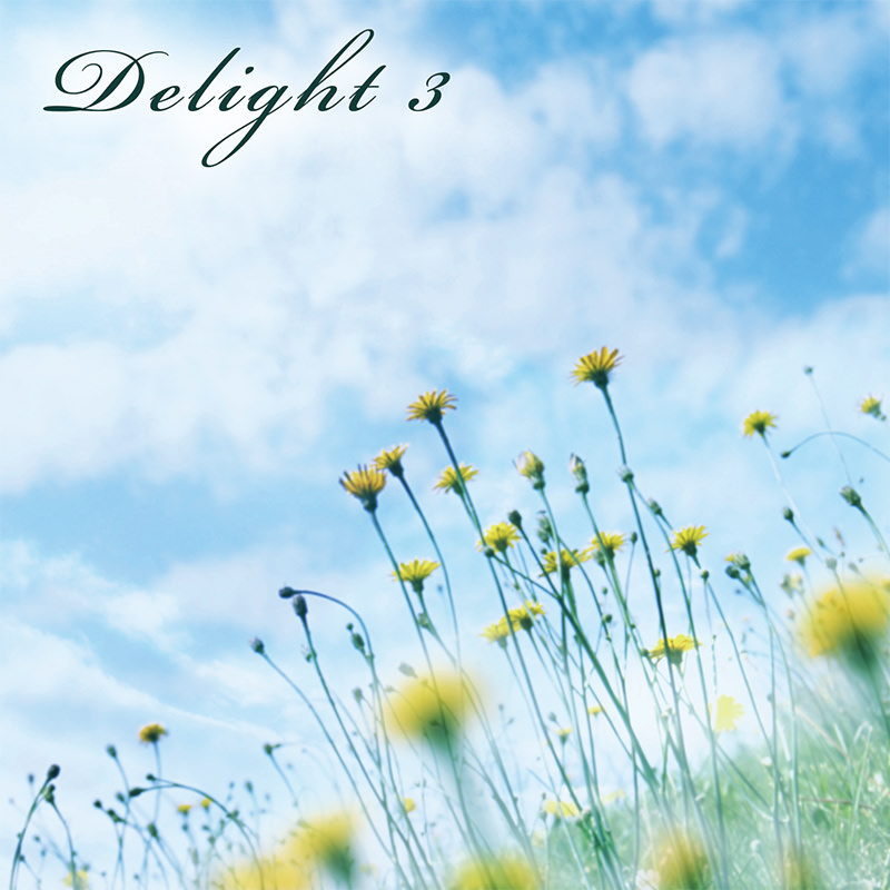 Delight 3