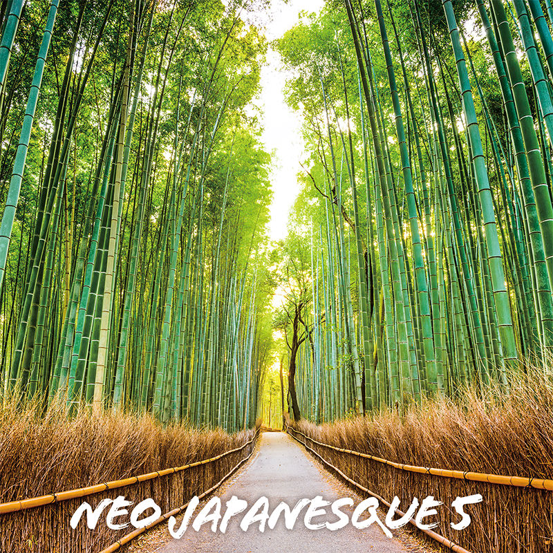 Neo Japanesque 5