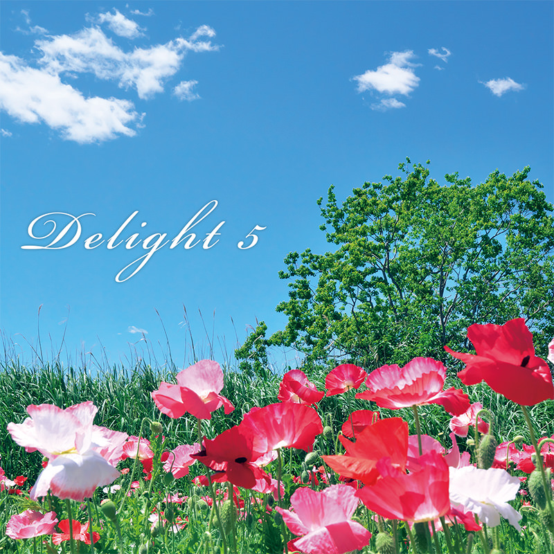 Delight 5