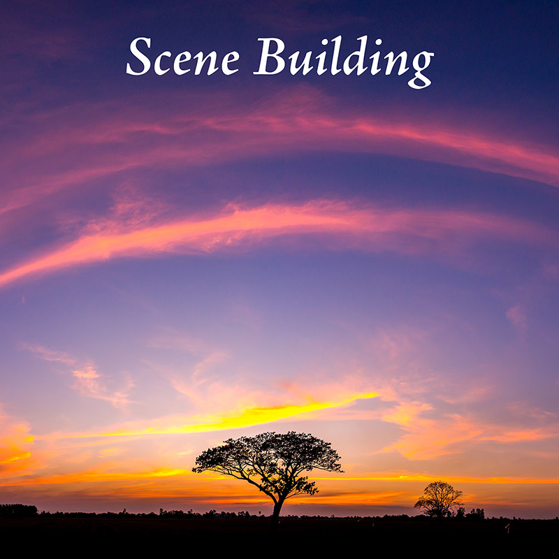 Scene Building