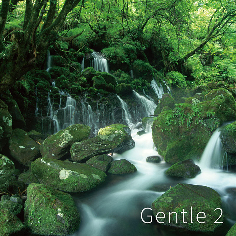 Gentle 2