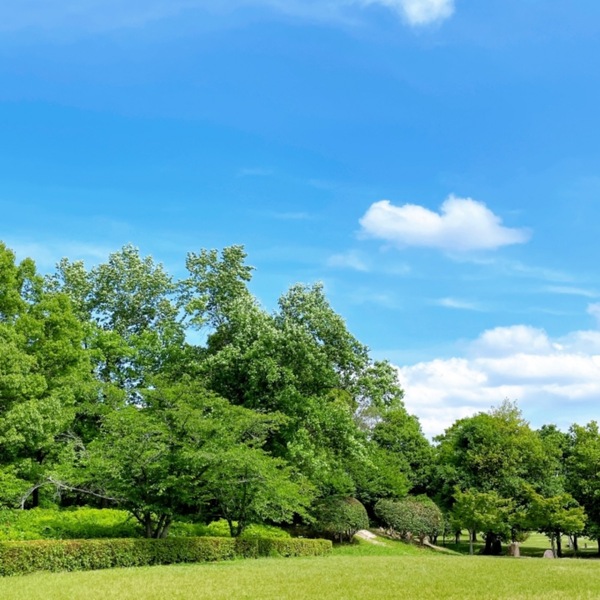 北海道のM&A事情を徹底リサーチ！経済状況や動向・事例・メリットは？
