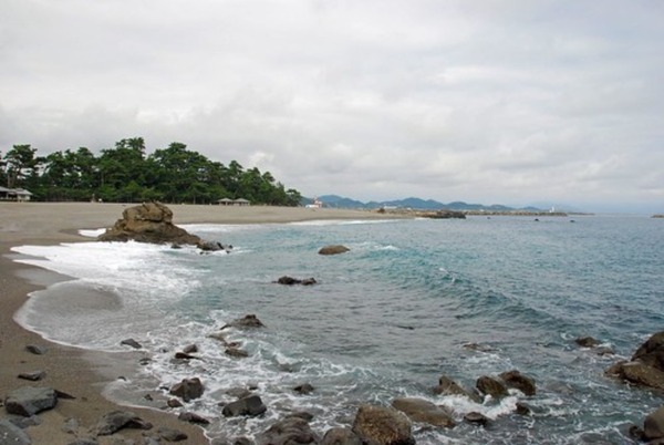 高知県でM&Aを行う方法は？案件の探し方から事例・動向まで徹底チェック！