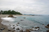 高知県でM&Aを行う方法は？案件の探し方から事例・動向まで徹底チェック！