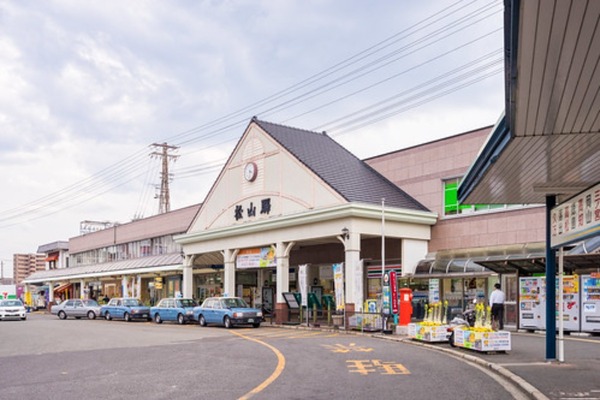 愛媛県のM&Aを徹底解説！最新動向や現状・事例・案件の探し方は？