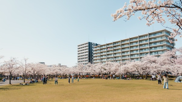 郡山市のM&Aを徹底解説！動向や事例・メリット・案件の探し方は？