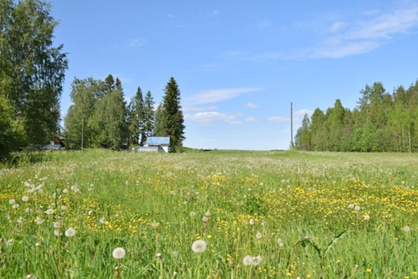 地方のM&Aの動向を徹底解説！課題や事例・成功させるためのポイントは？
