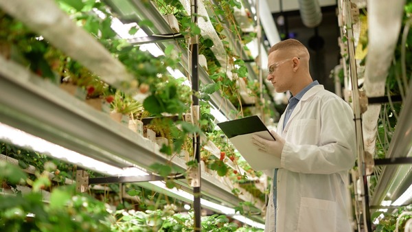 農業DXとは？将来の動向や事例で学ぶスマート農業の始め方と課題