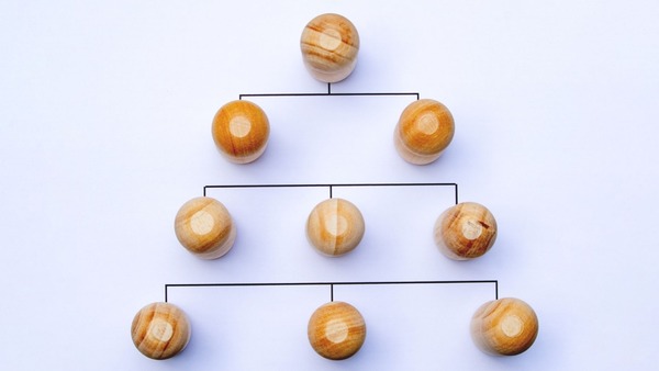 プロジェクトにおけるポートフォリオとは？プログラムとの違いやPPMによる管理手法を解説