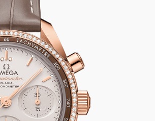 全体に18Kゴールドを使用したケース