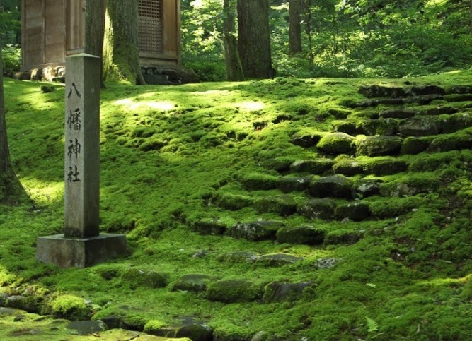 勝山市の時計店：グレース・ジェムの特徴