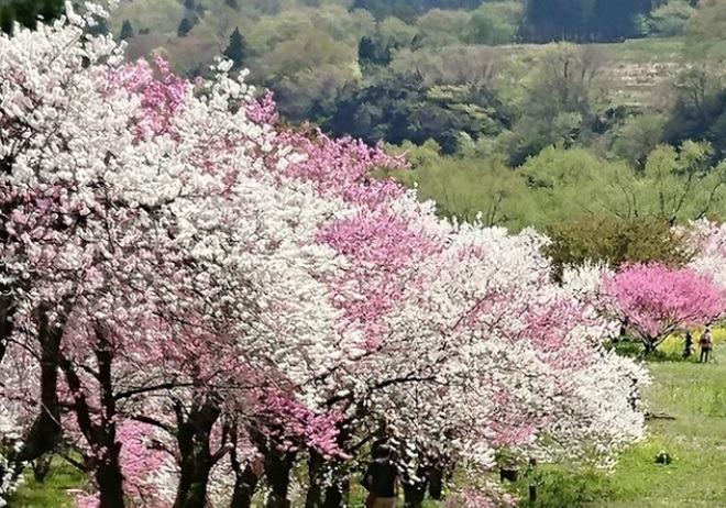 大野の時計店：オオクラの特徴・品揃え