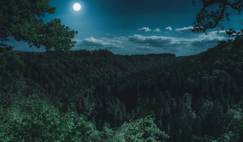 IWCダヴィンチはシンプルな美しさが魅力の高級腕時計