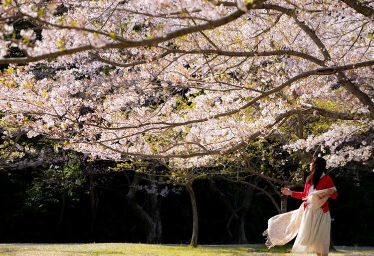 洲本市の時計買取店2選