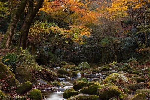 高萩市には地元を支える時計取扱店があり