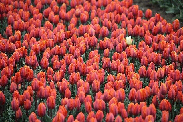 浜松市の時計店：マキタ時計宝石の特徴