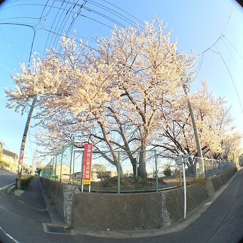 ロレックスの買取ができる安城市のお店は？実績や口コミも比較