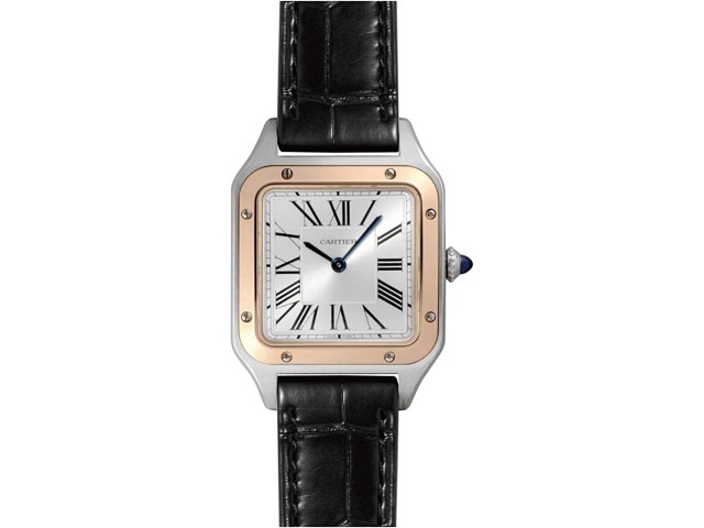 サントス デュモン W2SA0012