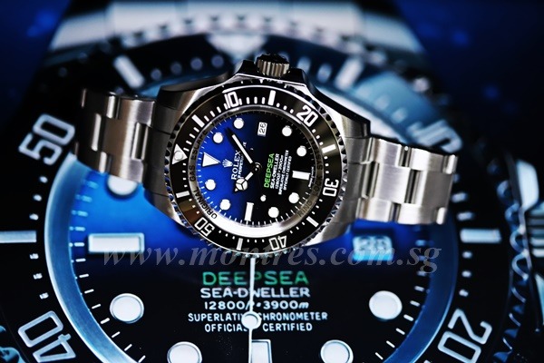 "シードゥエラー(ディープシー)"はDブルーが人気？