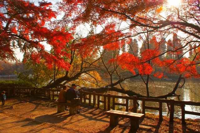 吉祥寺の時計店15選！電池交換や修理、買取販売のおすすめ店