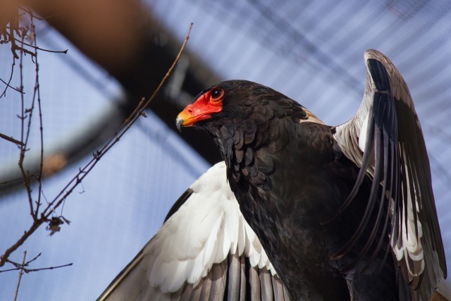 上記時計モデルの特徴・機能